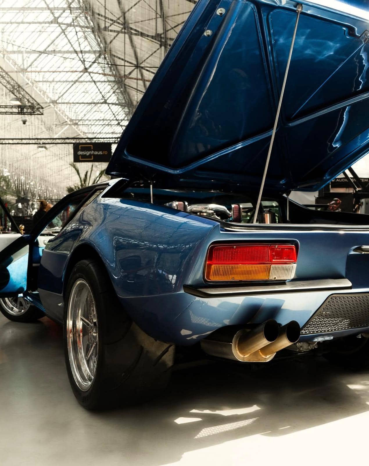 Pantera – vedere laterală