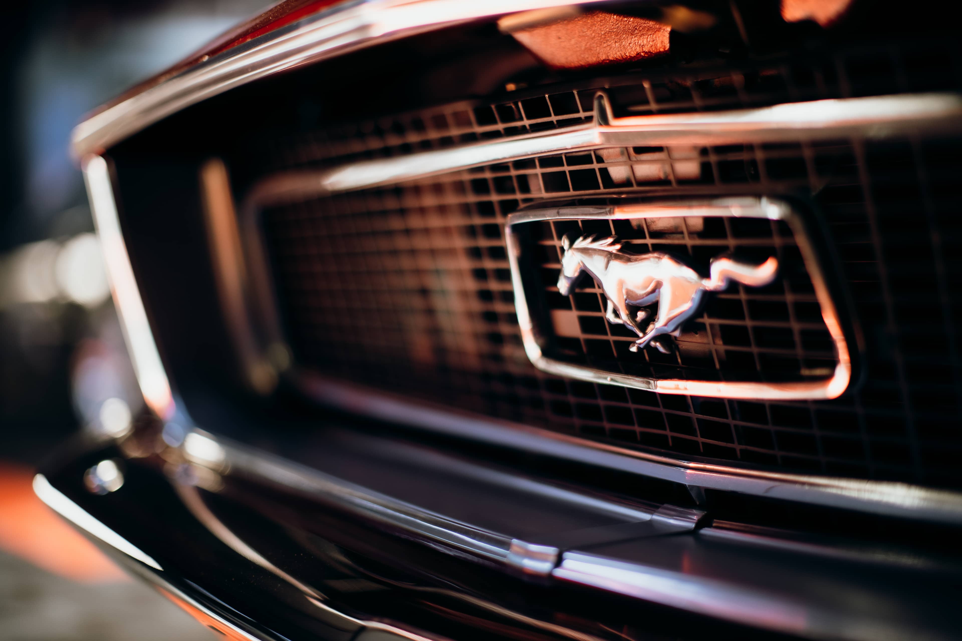 Mustang Hardtop — exterior 11